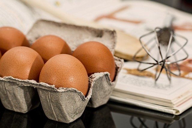 conseil en nutrition oeuf